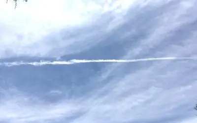 Arizona is a Toxic Hell Hole