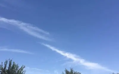 Constant spraying over Pinal County Arizona. The results are deaths of hundreds of birds and who even knows how many bees. Where is the leadership? Why are we putting up with this poison?