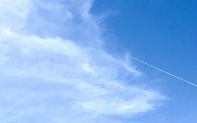 Poison for you. Courtesy of the Epstein Pedophile Government of Washington DC