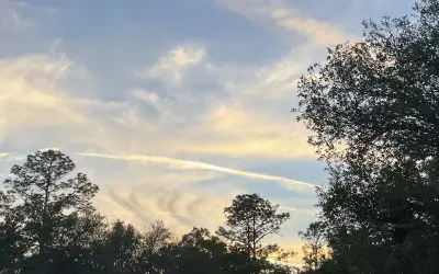 Dark swirls in central Fl. April 18, 2026