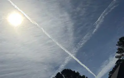 CRIMES AGAINST HUMANITY!!! SOUTH ALABAMA