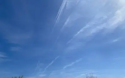 RINO-led SC continues to be poisoned