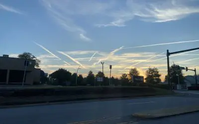 Mother Faucis poisoning upstate SC