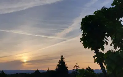 En FRANCE, dans l’Ain