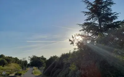 On May 30, 2026, in Provence, France, there were still chemtrails and a hazy sky. The weather forecast had predicted it, even though they claim it doesn’t exist.