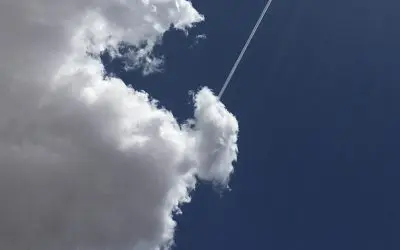 Trump just keeps on spraying y’all.
