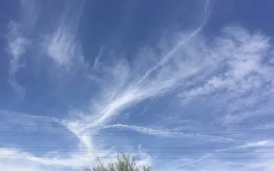 You weak minded Arizona serfs are getting sprayed heavily. You are slavers to the government.