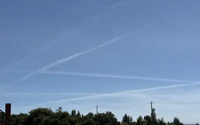 Sonoma County 5/11/26