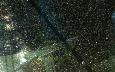 Wis  chem fall out car window