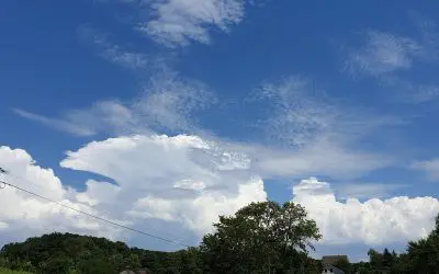 En FRANCE, dans le Jura