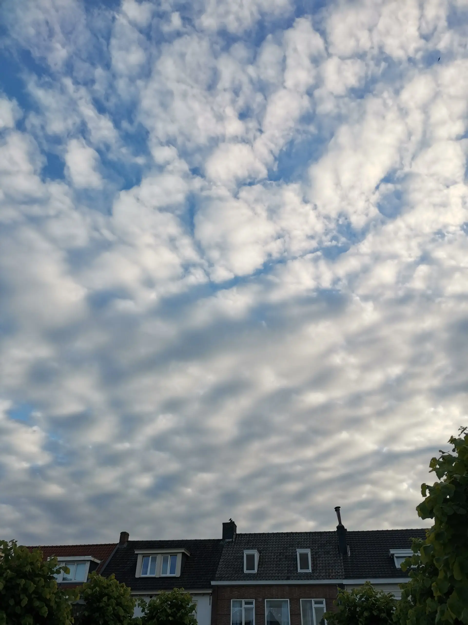 img_20260613_202840