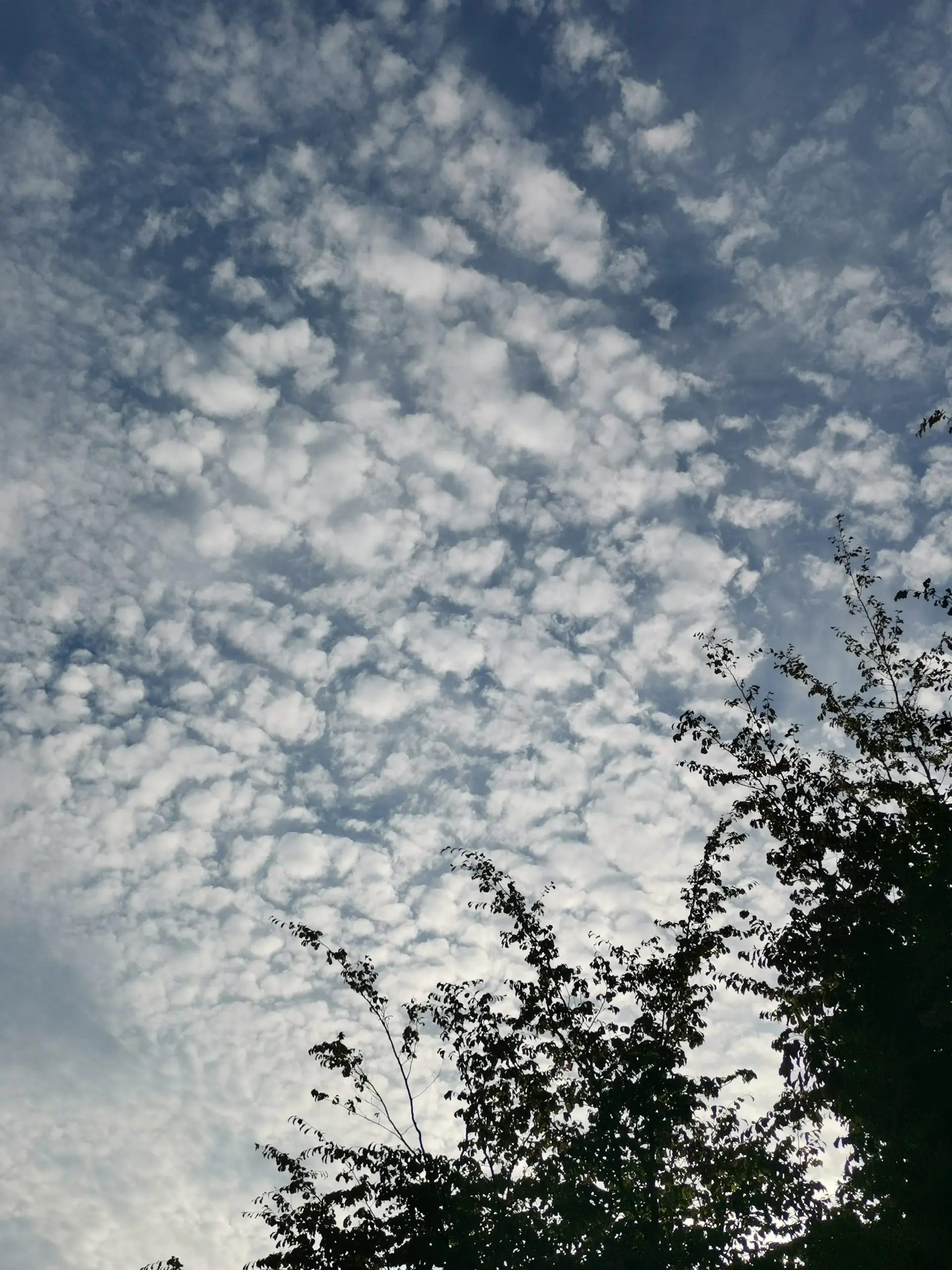 img_20260618_195352