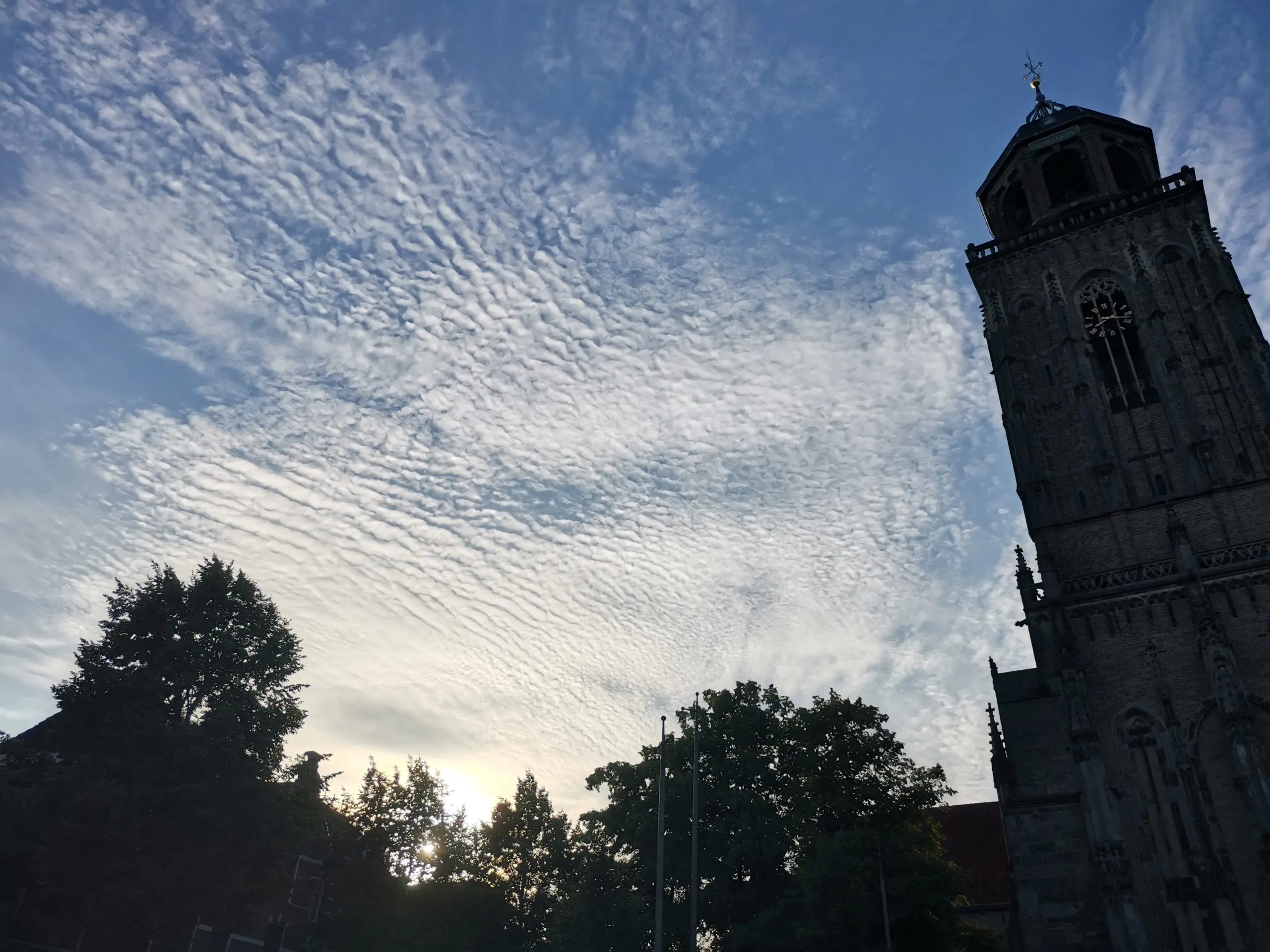img_20260620_201842