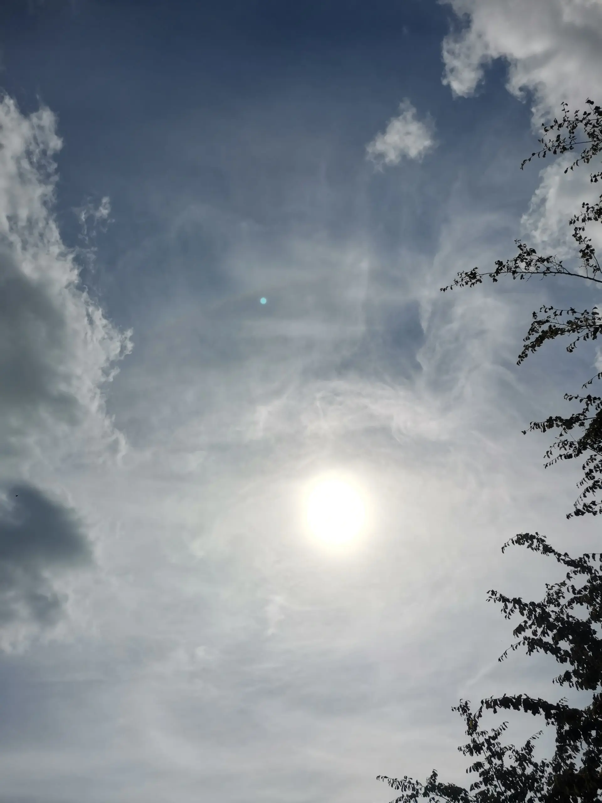 img_20260621_165724