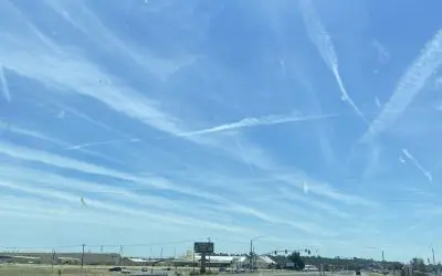 Horrible day in Northern California being sprayed like bugs