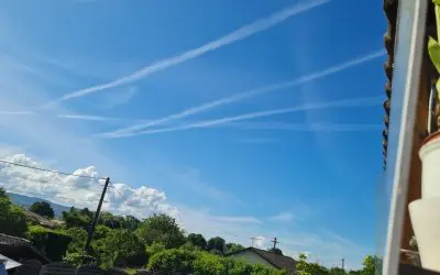En FRANCE, dans l’Ain 01