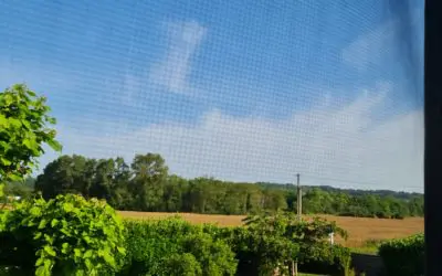 En FRANCE, dans l’Ain, ciel voilé et opaque, nuages ne ressemblant pas à des nuages, températures excessives et changements soudains.