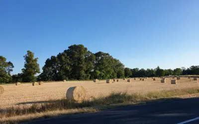 En FRANCE, dans l’Ain. Avant : ciel bleu et températures de saison. Pendant : traînées. Après : ciel couvert, “sale” avec une sorte de couche qui masque ciel, soleil et lune. Températures qui grimpent d’un coup.