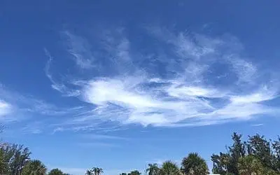 Vacationing in Bradenton Beach Florida. A large tanker type craft flew above the beach and expelled the gaseous cloud like formation in the picture. It remained in the sky as real clouds floated passed it.