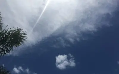 Watching the creeps spray Longboat Key Florida on July 4th. We the people need to stop these criminals.