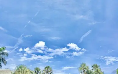 Poisonous skies of Sarasota Florida. Time to de flock HAARP.