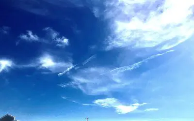 Sarasota Florida. Florida is an open air experiment on the population.
