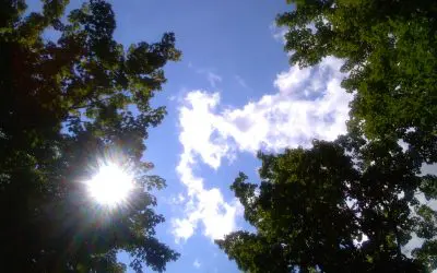 Ojibwa park wis