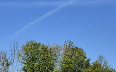 Murder in the sky