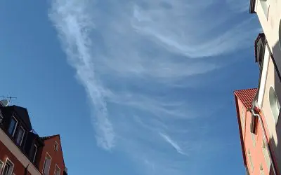 Blown in the wind…