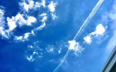 Chemical poisoning in Florida. Florida is poisonous.