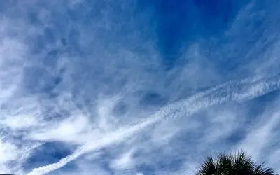 Sarasota Florida