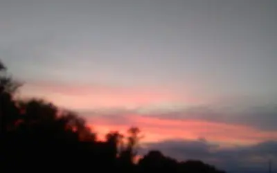 Wis
