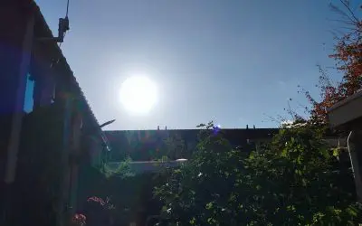 The netherlands