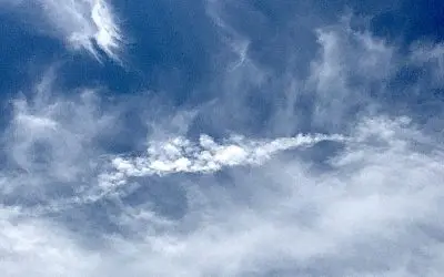 Chemtrail pilots are incels that hurt children.
