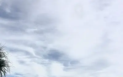 Manufactured and fake freakishly weird chemical skies here in Palmetto Florida.
