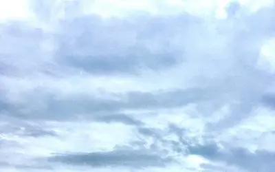 The government has been spraying our skies continuously and today it’s raining here in Sarasota Florida and the rain is greasy like chicken grease when it gets on glass. This needs to stop right now. No more!