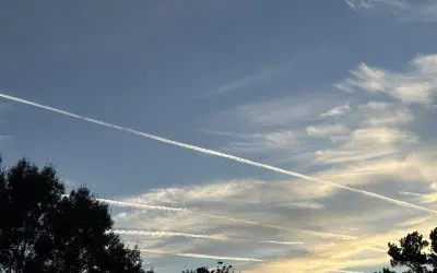 CRIMES AGAINST HUMANITY!!! Dothan, Alabama