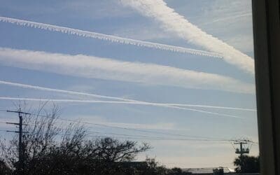 St Augustine Beach, FL