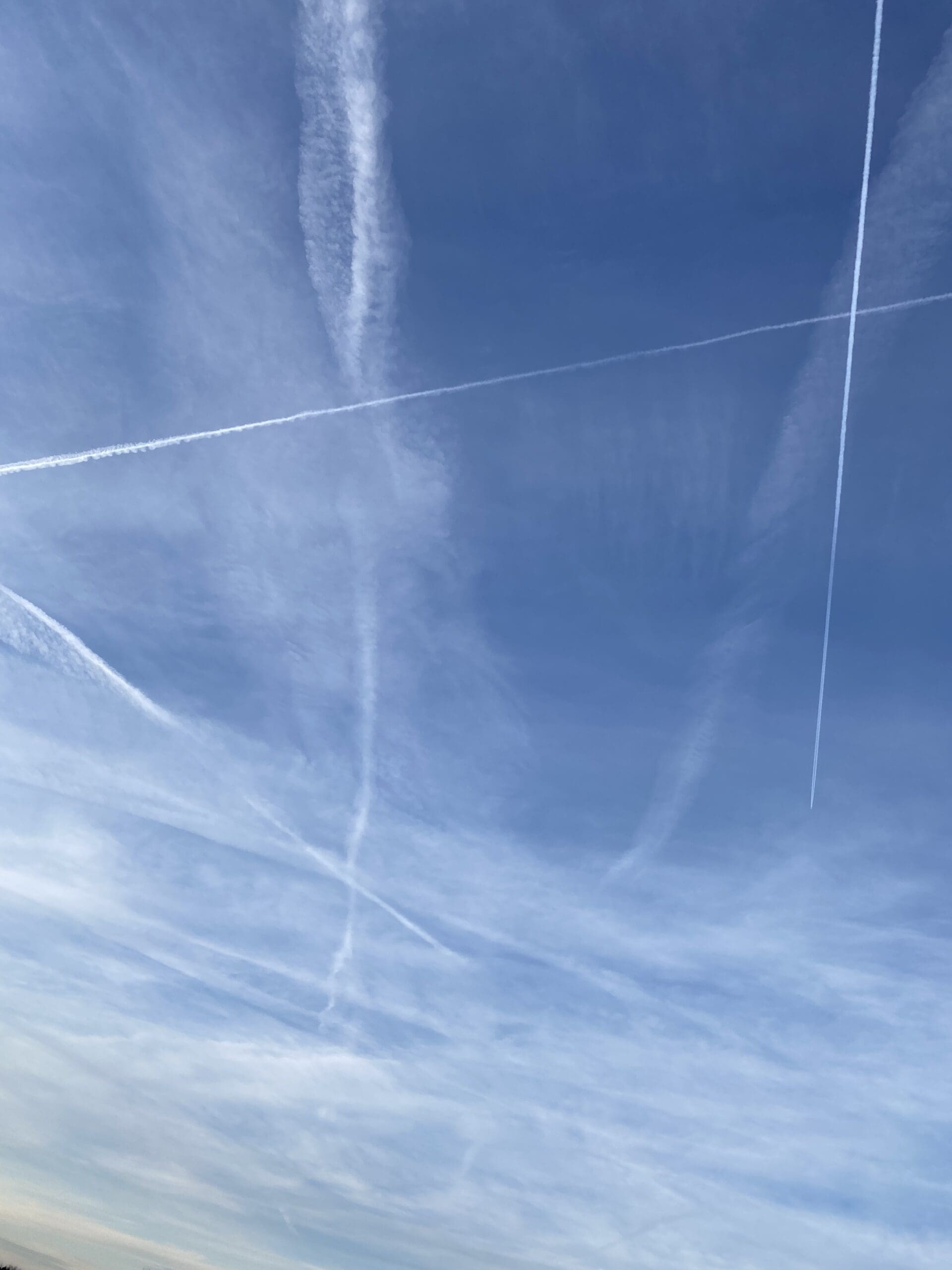 143C3069-FBE9-4CF5-A64D-DBC08C12CBED