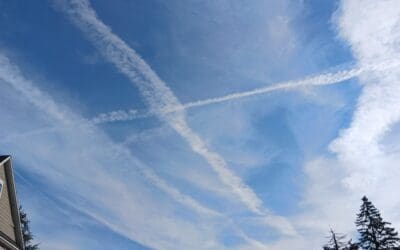 Chemicals in Riverside  IL.