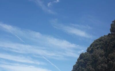 Auckland New Zealand