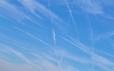 This is “corrupt California”