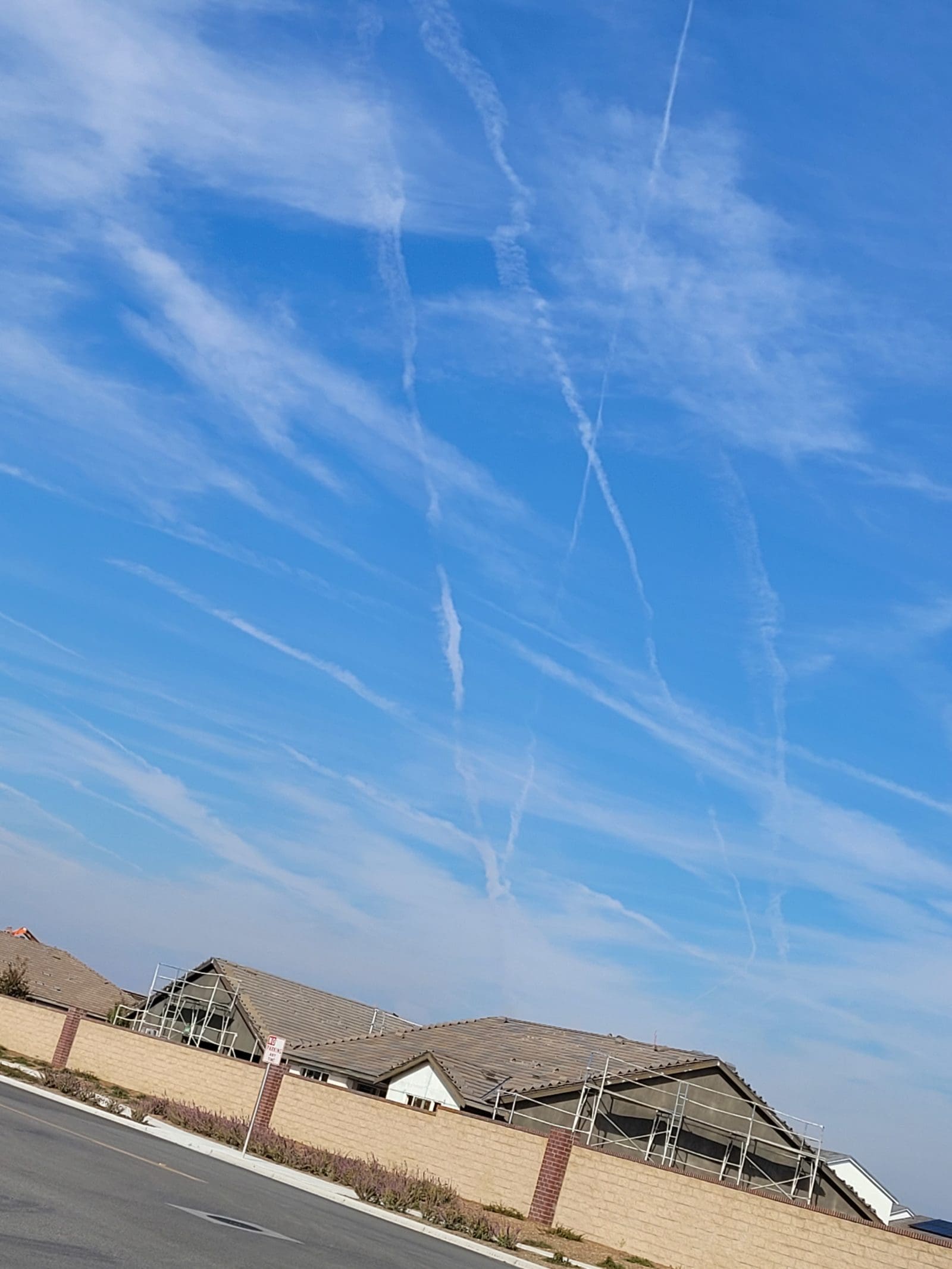 20221111_095157-1600×2133