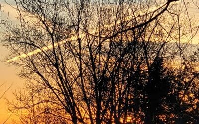 Many Chemtrails Mark a December Morning Sky