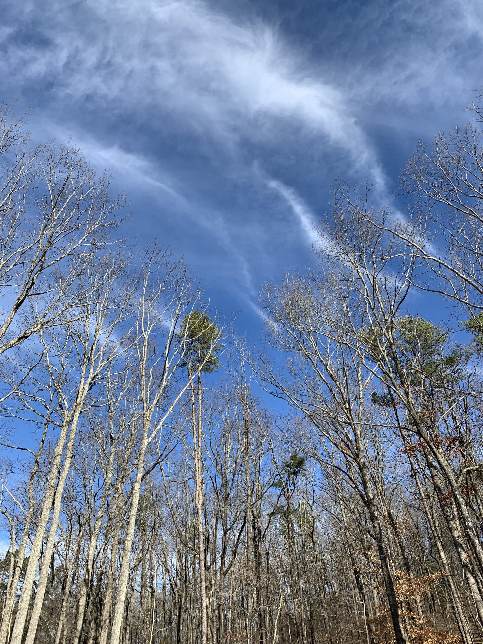 3F409382-356A-4EB2-910B-042915D89CD3