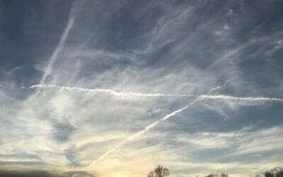 Greenville SC early 22