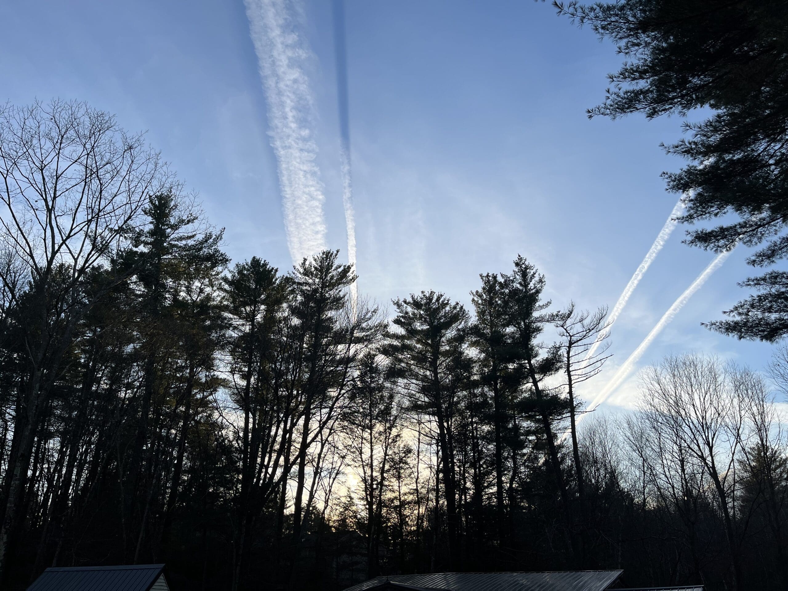 8419E4D1-5717-438C-B249-82A04AE3DF95