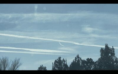 Winter 2023, Fairfax VA