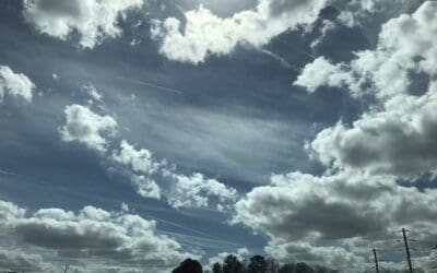 Gville, sc March 22, 2022