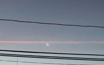 Just getting Started LI NY